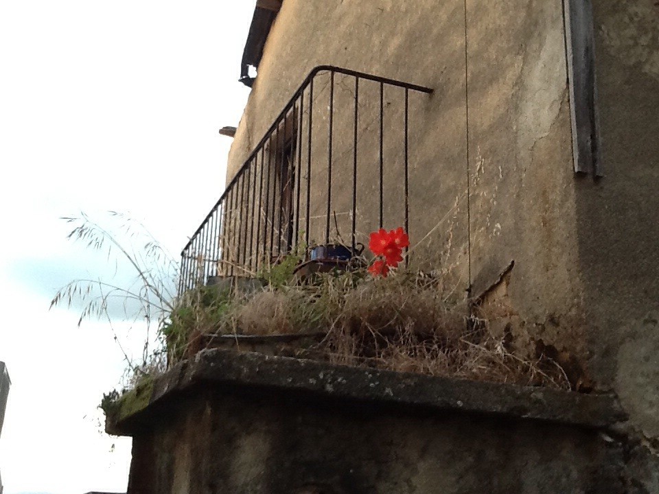 pietre nel levante