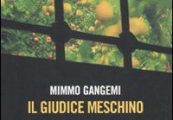 il giudice meschino
